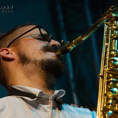 Green Town Jazz Fest 11